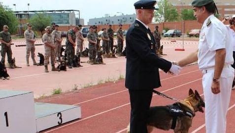 'Nena', el mejor perro entre los cuerpos de seguridad de Estado