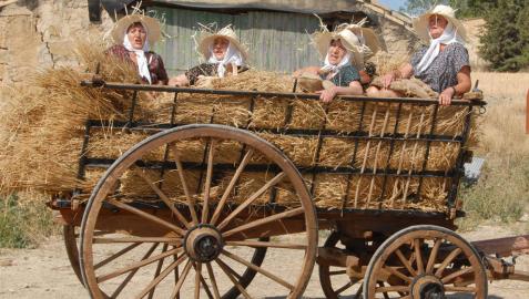 Fiesta del Mundo Rural en Miranda de Arga.