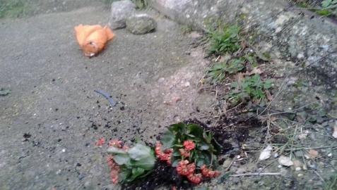Covite denuncia continuos ataques a las ofrendas por Juan Manuel Piñuel