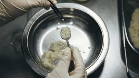 Huevos de caracol, el caviar blanco de la tierra Huevos de caracol, el caviar blanco de la tierra