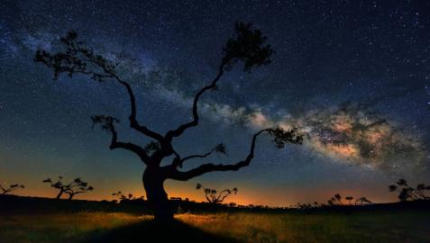 Una galaxia desconocida aparece orbitando la Vía Láctea Una galaxia desconocida aparece orbitando la Vía Láctea