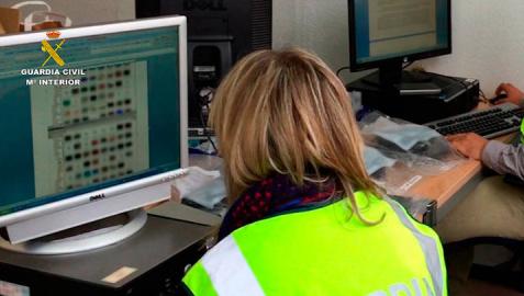Diecisiete detenidos por distribuir imágenes de pedofilia en internet