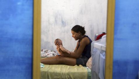 El Zika podría dañar las células madre a través de una proteína El Zika podría dañar las células madre a través de una proteína