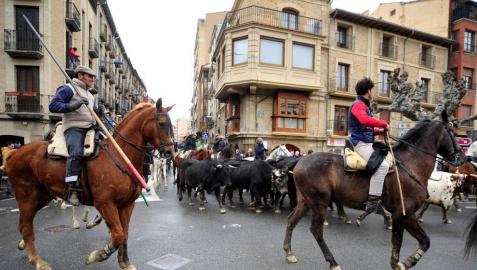 La transhumancia hizo un recorrido de siete kilómetros y llegó a la plaza de toros de Tafalla alrededor de las doce y veinte.