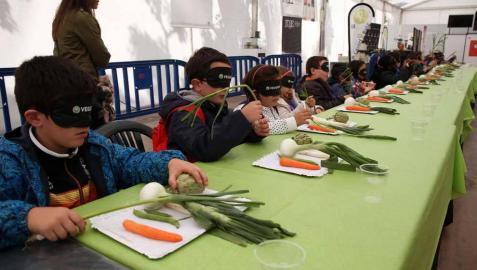Verduras en la oscuridad
