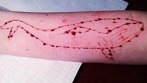 La 'ballena azul', el macabro juego que lleva a los jóvenes al suicidio, llega a España