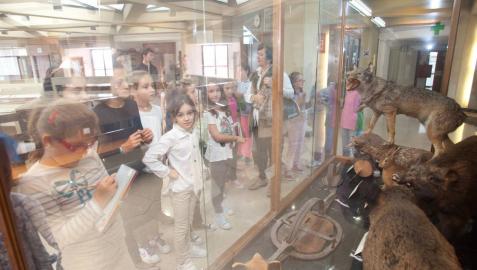 El público podrá visitar por primera vez el Museo de Ciencias Naturales de la UN