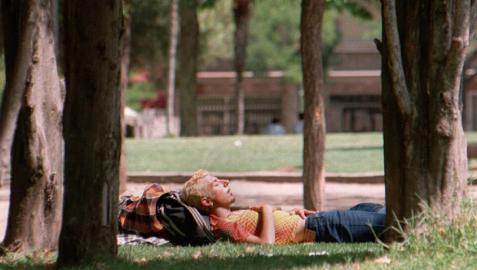 ¿Cuánto tiempo duermen de siesta los navarros?