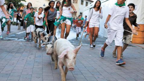 Arazuri celebrará el domingo su última carrera de cutos Arazuri celebrará el domingo su última carrera de cutos