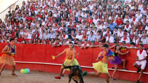 Las peñas protagonizan la fiesta en Milagro