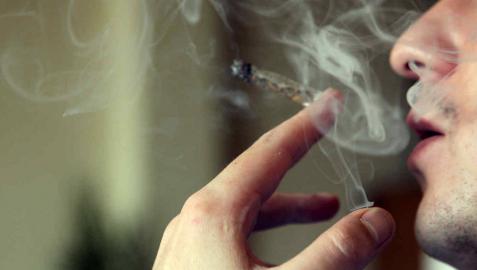 El Parlamento catalán aprueba una ley que regula las asociaciones de cannabis