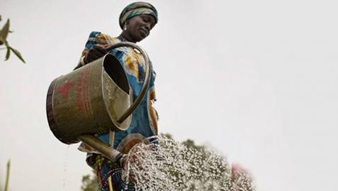 La FNMC cofinancia un proyecto de Cruz Roja en Burkina Faso
