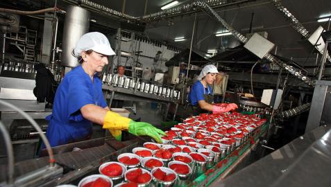 El veto comercial ruso inquieta en el sector agroalimentario navarro