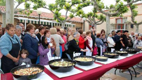 Fotos de la XXIII Jornadas de la Verdura de Tudela