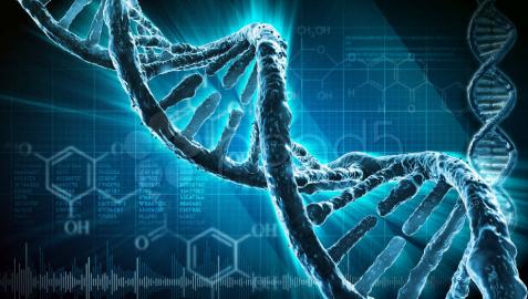 Usan ADN para fabricar el termómetro más pequeño del mundo Usan ADN para fabricar el termómetro más pequeño del mundo