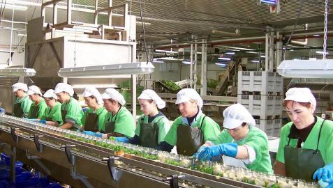 Nuevo récord de exportación de la agroindustria en Navarra: 1.086 millones en 2017