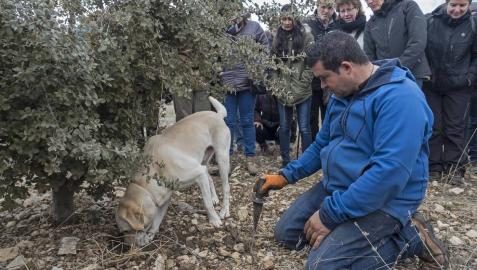 La trufa de Metauten: un plan para esta Semana Santa La trufa de Metauten: un plan para esta Semana Santa