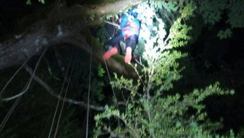 “Estoy colgado en un árbol”
