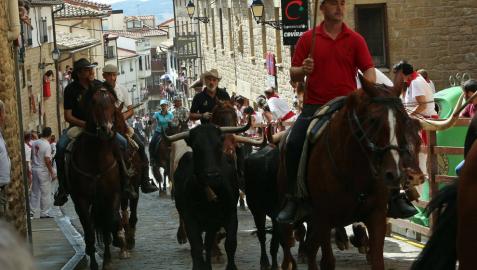 Trashumancia urbana en el artajonés ausente