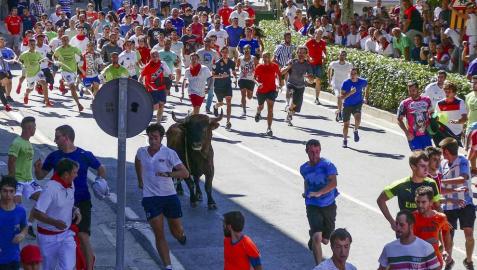 El toro ensogado en una de las jornadas festivas de Lodosa (14 de septiembre)