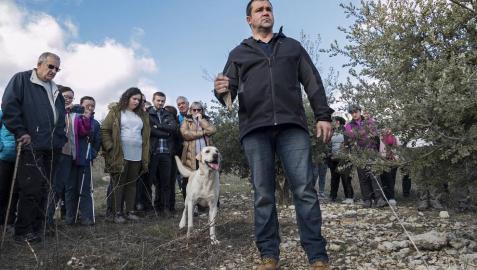 Txentxo Zugasti, responsable del Museo de la Trufa, durante la salida el viernes a las fincas próximas con el labrador Manuel. Txentxo Zugasti, responsable del Museo de la Trufa, durante la salida el viernes a las fincas próximas con el labrador Manuel.