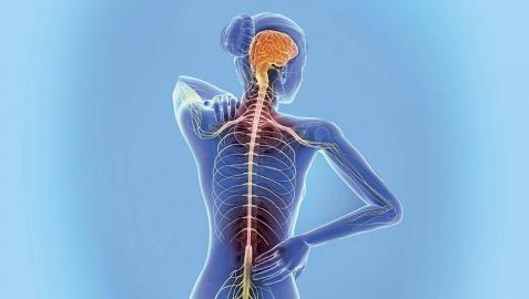 Fatiga, síntomas sensitivos y falta de equilibrio, principales síntomas de la esclerosis Fatiga, síntomas sensitivos y falta de equilibrio, principales síntomas de la esclerosis