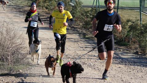 Tres corredores con sus perros en el primer Canicross Villa de Azagra que se disputó el domingo