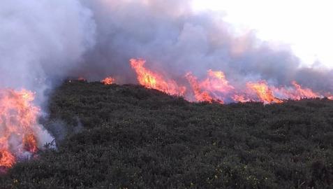 Imagen del incendio que ha afectado a la vegetación junto a la ermita de San Isidro del Pinar.