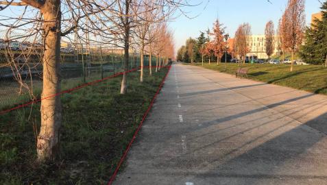 La Policía Municipal investiga la aparición de carne con alfileres en Buztintxuri