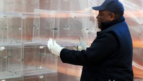 Un equipo de seis trabajadores prepara el material para las elecciones en Pamplona