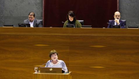 Incorporado el lenguaje inclusivo en la Ley del Gobierno de Navarra