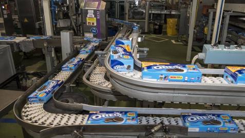 Imagen de un momento de la parte final del proceso, con las galletas ya empaquetadas.