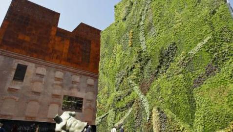 Muere una mujer tras caer por el hueco de una escalera en Caixaforum