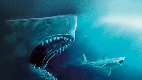 Los dientes terribles del megalodón tardaron millones de años en evolucionar