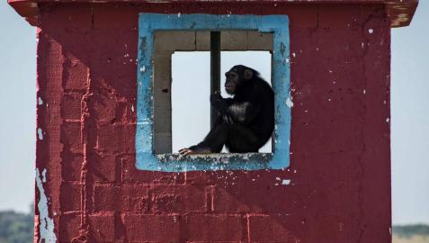 Las fotografías más llamativas de las últimas horas.