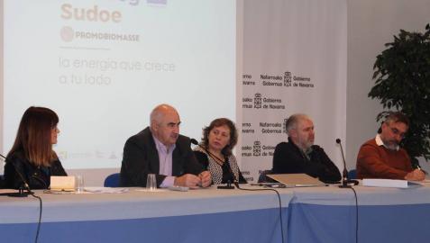 Nasuvinsa lidera proyecto para el uso de biomasa forestal como energía