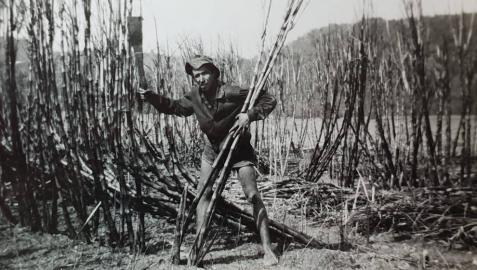 Una asociación busca a navarros que emigraron a Australia