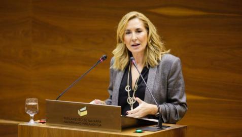 El Parlamento de Navarra rechaza recuperar la derogada ley de Símbolos
