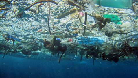 Una carrera contra los plásticos que dañan los océanos