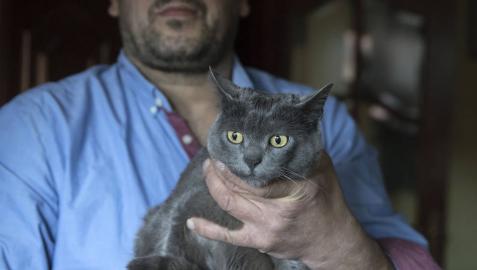 Gala, la gata que consiguió ver la luz