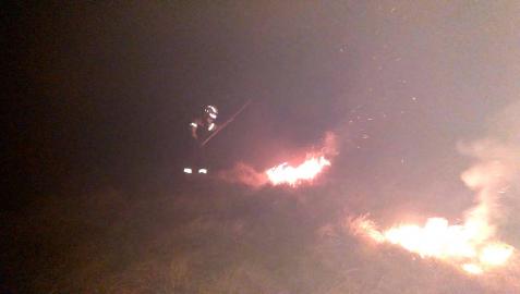 Bomberos Forestales extinguiendo un incendio forestal en Arantza