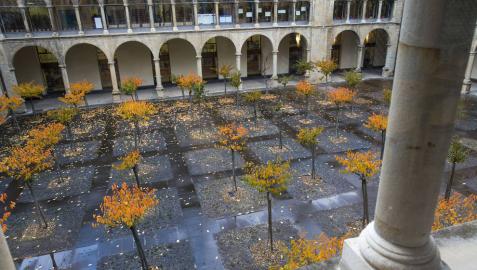 Dos familias denuncian que sus hijos sufren agresiones en un colegio pamplonés