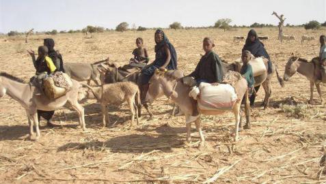 Cerca de 50 civiles muertos por un ataque de milicianos en el centro de Mali