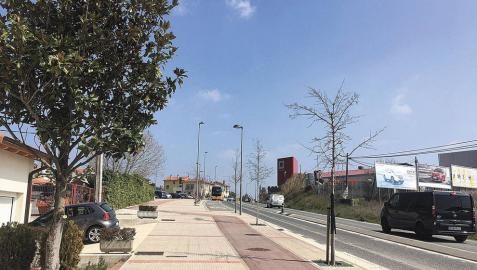 Orkoien tala 76 árboles y repone 174 en los últimos cinco años