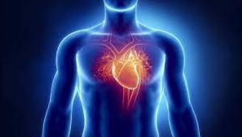 El primer trasplante de corazón realizado con éxito en el mundo cumple 50 años