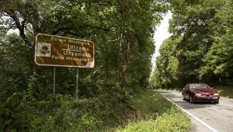 Año malo de setas en Ultzama