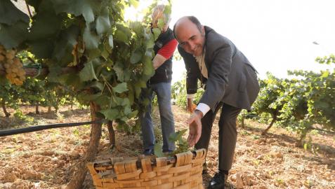 Ayerdi, en la presentación de la campaña 'Bosques y viñedos de misterio'.