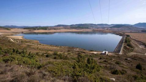 Zolina: la balsa que eligieron las aves