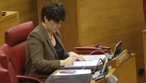 La consejera María Solana toma notas durante un pleno del Parlamento.