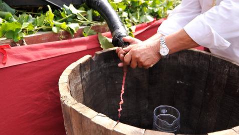 La Fiesta de la Vendimia ensalzará en Olite desde mañana el vino navarro